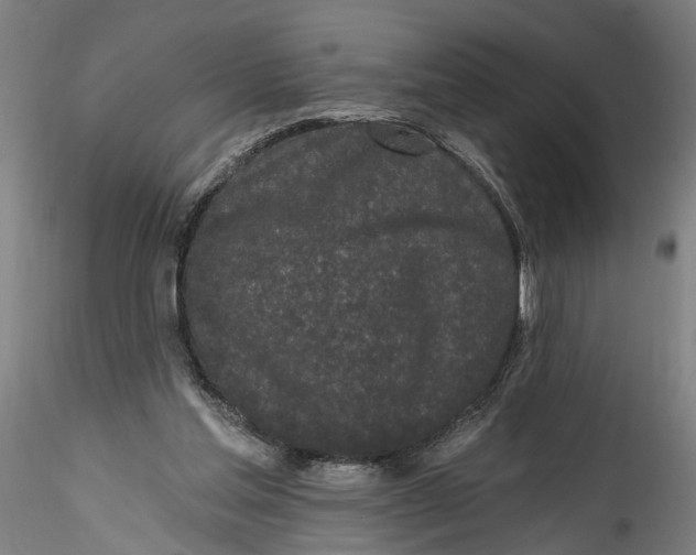 X0000115520205200911271330