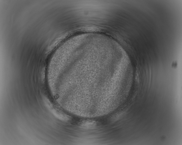 X0000115520206200911271330