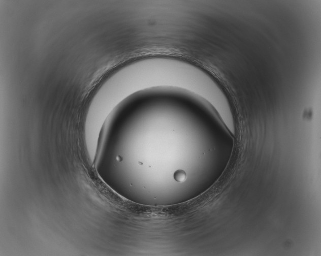 X0000115520207200911271330