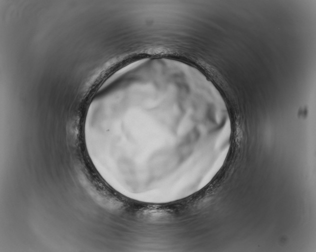 X0000115520208200911271330