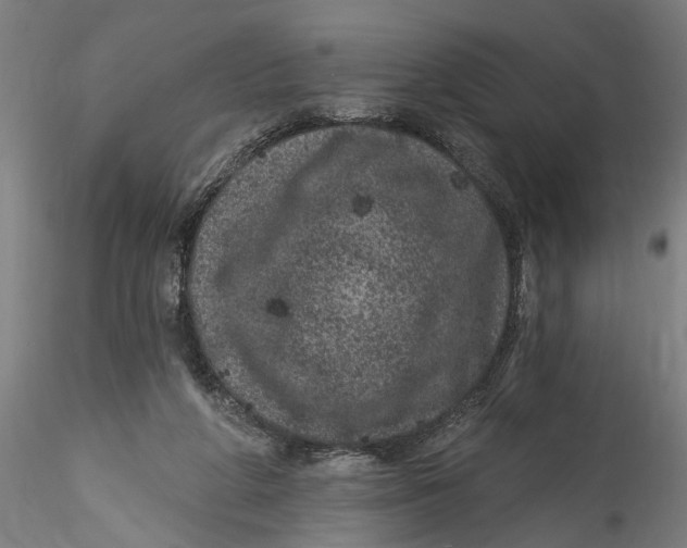 X0000115520210200911271330