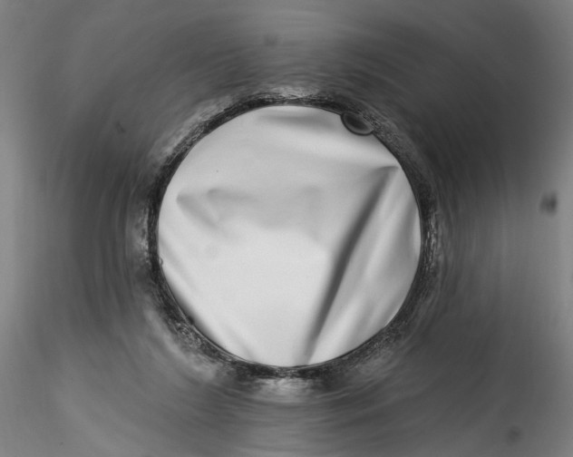 X0000115520212200911271330