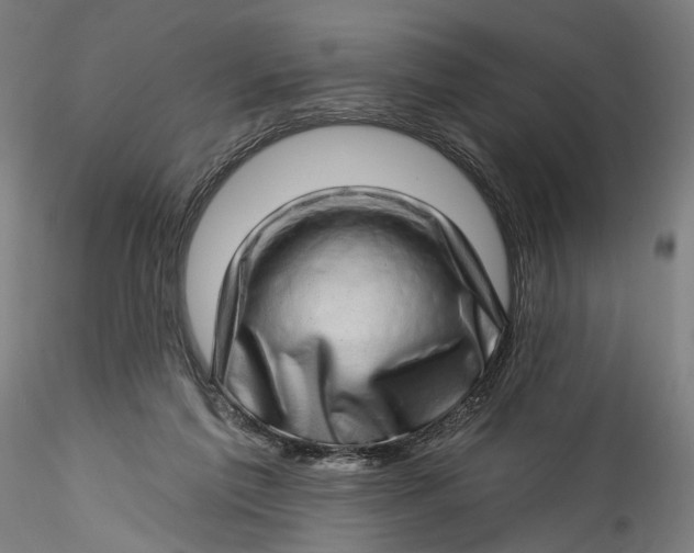 X0000115520213200911271330