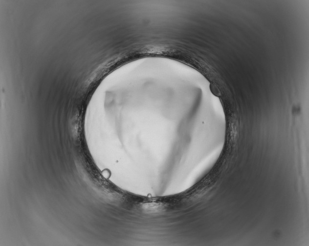 X0000115520216200911271330