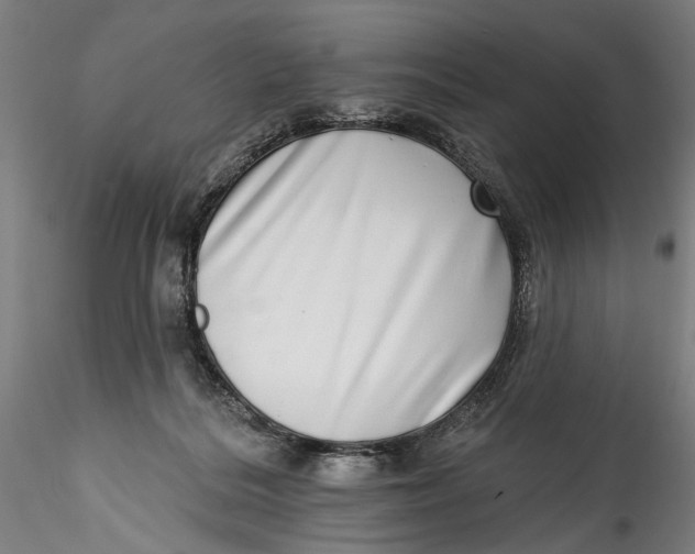 X0000115520220200911271330