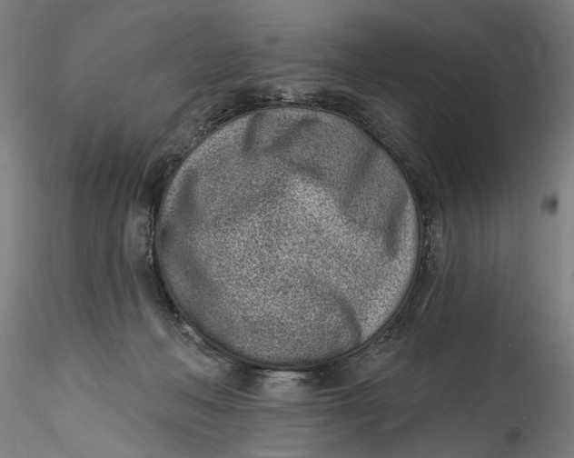 X0000115520222200911271330