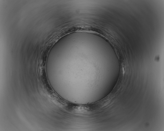 X0000115520223200911271330