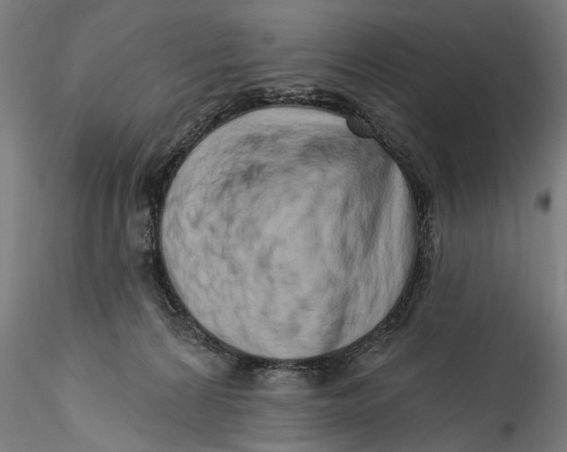 X0000115520224200911271330