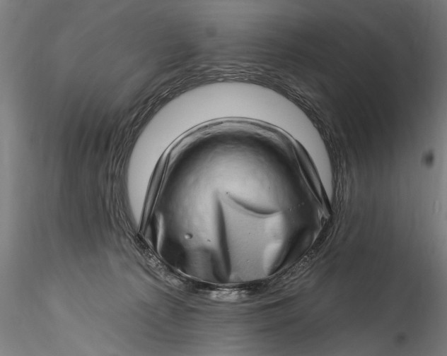 X0000115520225200911271330