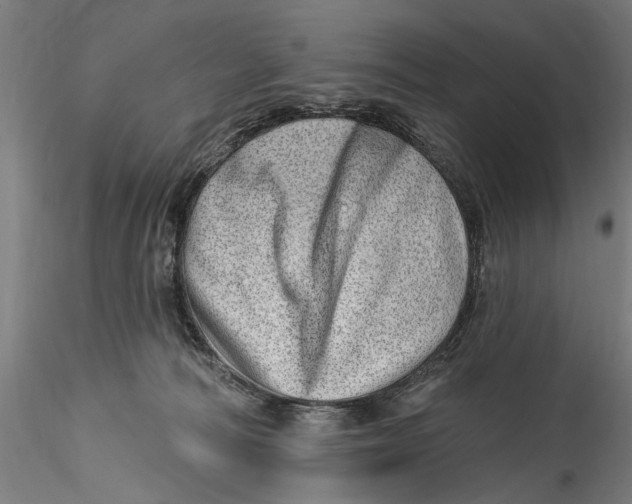 X0000115520226200911271330