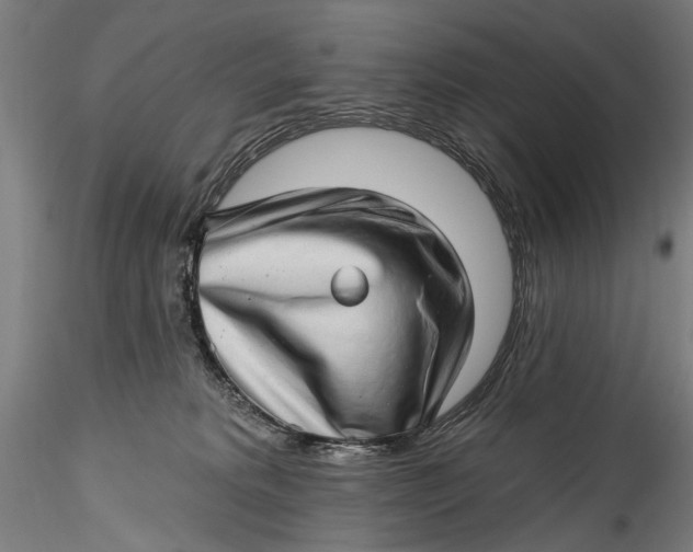 X0000115520229200911271330