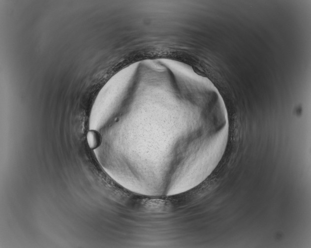 X0000115520230200911271330