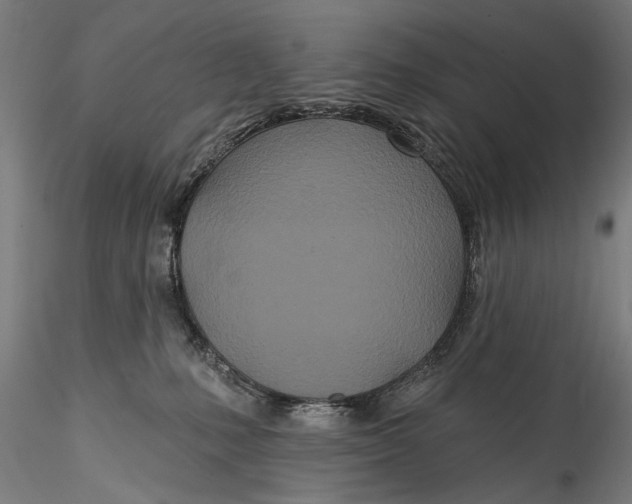 X0000115520231200911271330