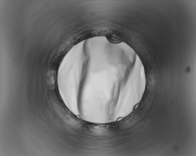 X0000115520232200911271330