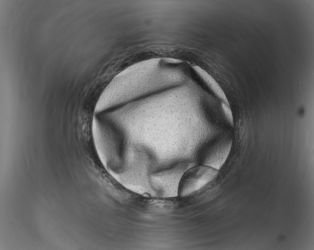 X0000115520234200911271330