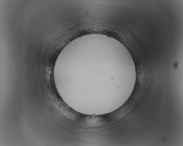 X0000115520235200911271330