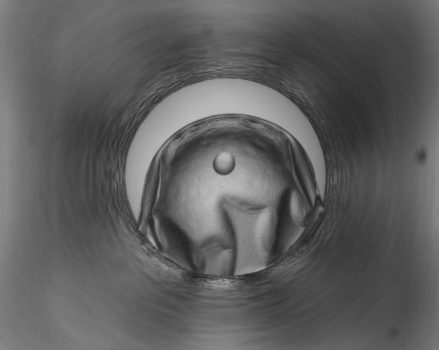 X0000115520237200911271330