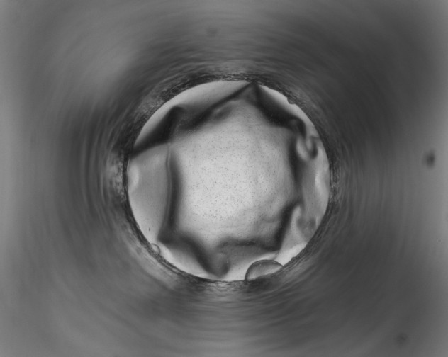 X0000115520238200911271330