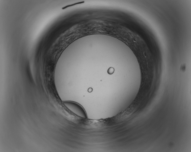 X0000115520239200911271330