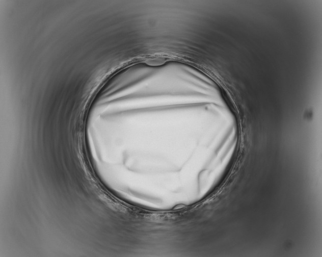 X0000115520241200911271329