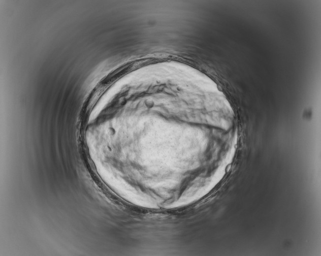 X0000115520242200911271329