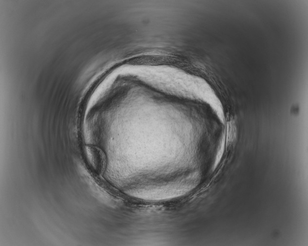 X0000115520243200911271329