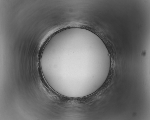 X0000115520244200911271329