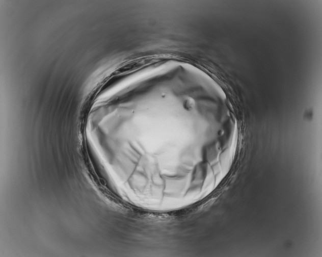 X0000115520245200911271329