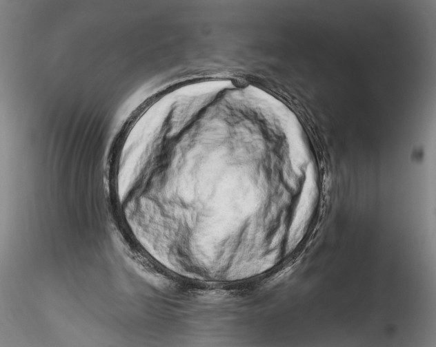 X0000115520246200911271329