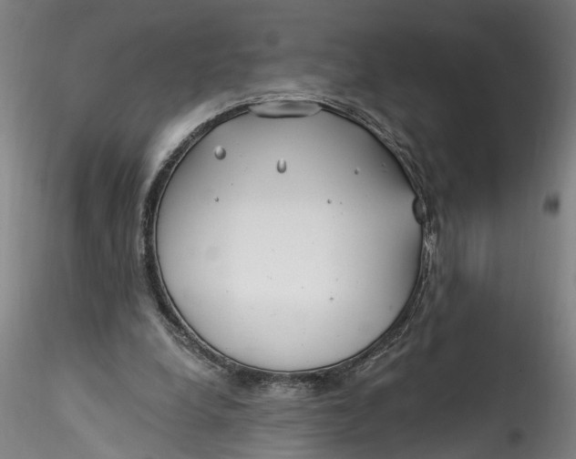 X0000115520248200911271329