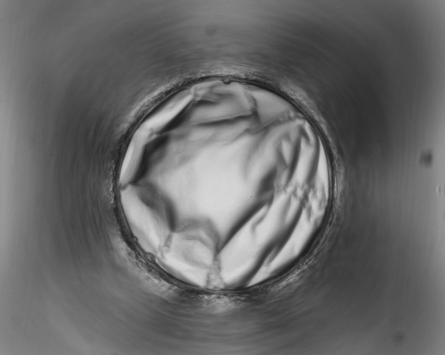 X0000115520249200911271329