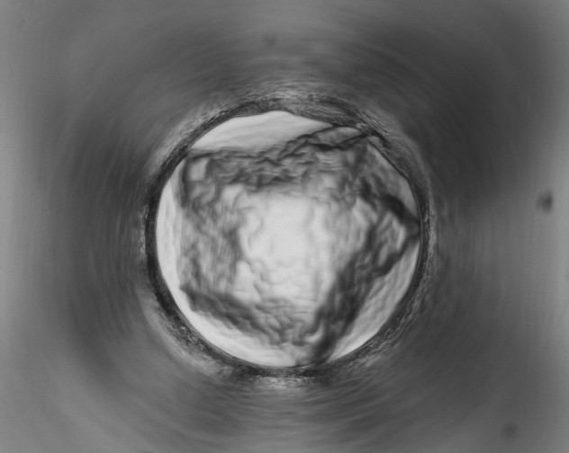 X0000115520250200911271329