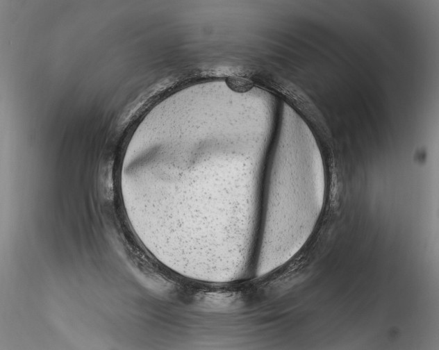 X0000115520251200911271329