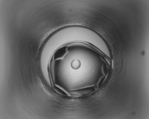 X0000115520252200911271329