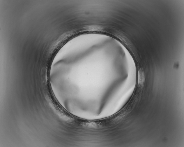 X0000115520253200911271329