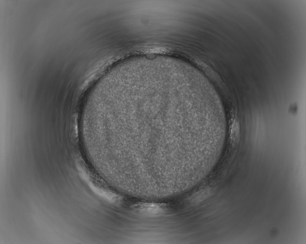 X0000115520254200911271329