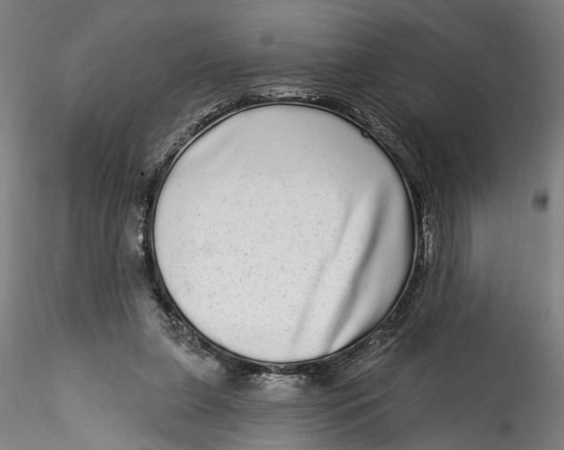 X0000115520255200911271329