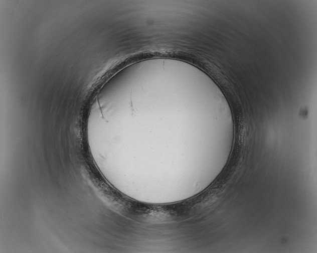 X0000115520256200911271329