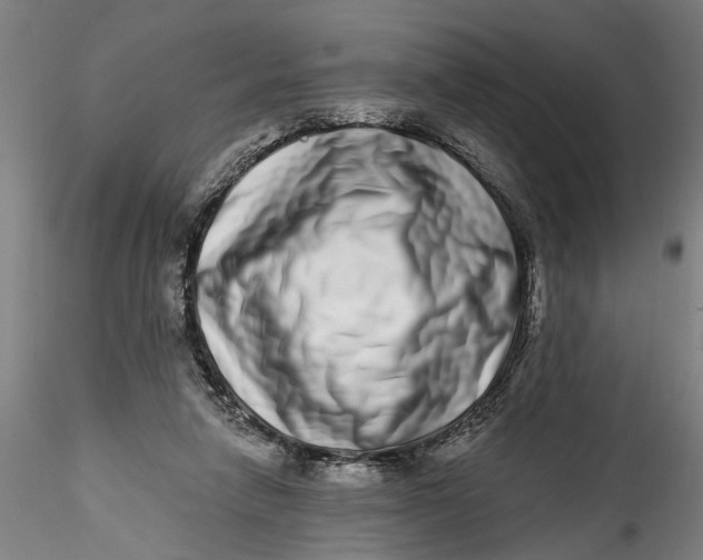 X0000115520258200911271329