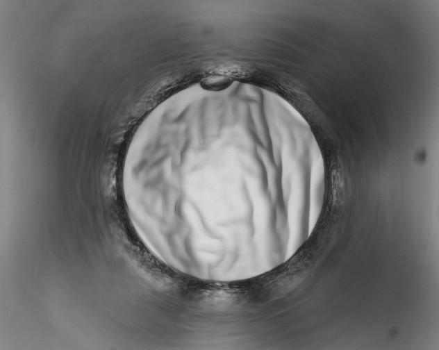 X0000115520259200911271329