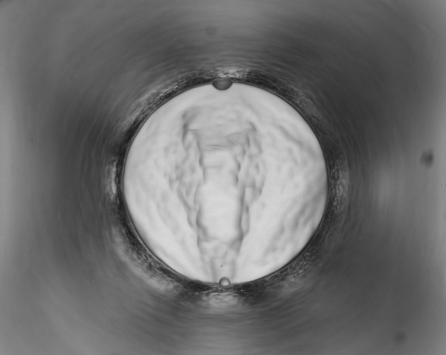 X0000115520262200911271329