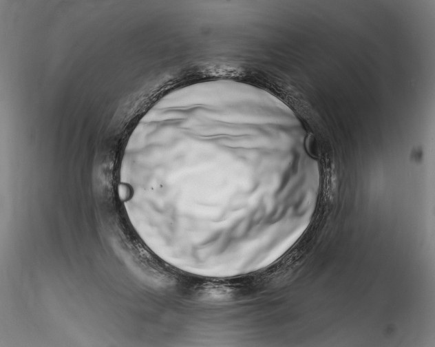 X0000115520263200911271329