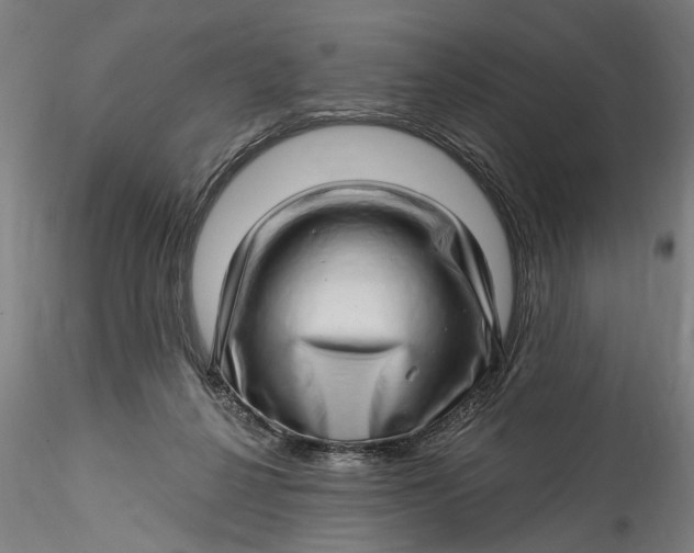 X0000115520264200911271329