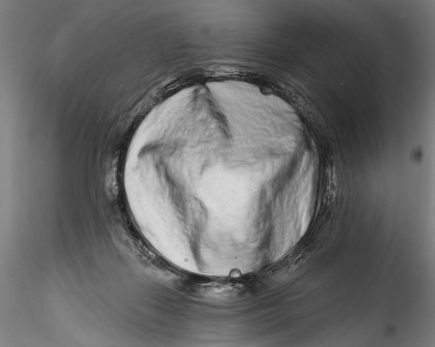 X0000115520267200911271329