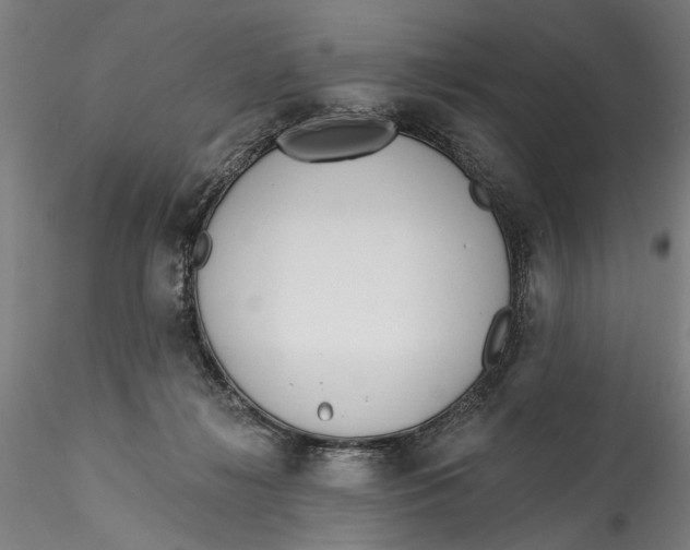 X0000115520268200911271329