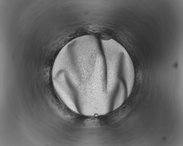 X0000115520271200911271329