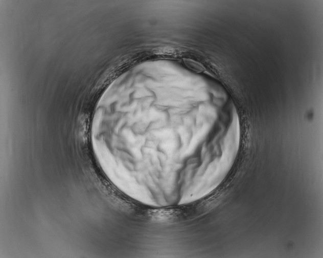 X0000115520273200911271329