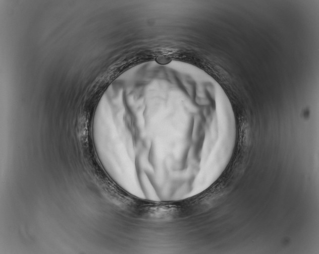 X0000115520274200911271329