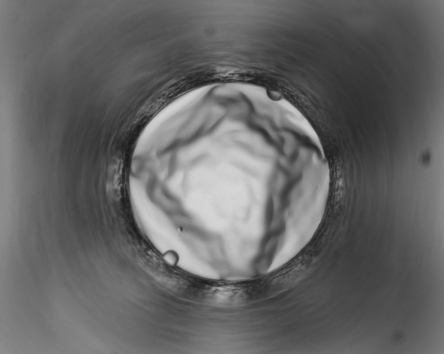 X0000115520275200911271329