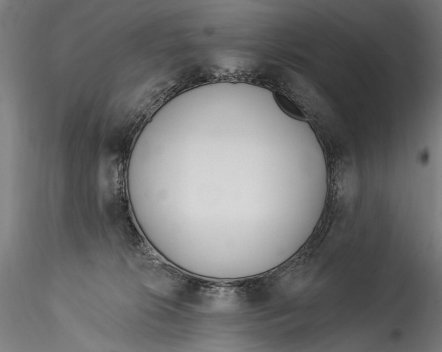 X0000115520276200911271329